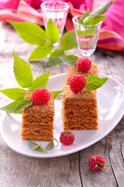 Slice of layered honey cake. — Stock Photo, Image