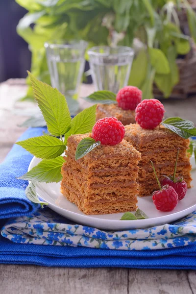 Honey cakes in the shape of squares decorated with fresh raspberries and mint leaves — Stock Photo, Image