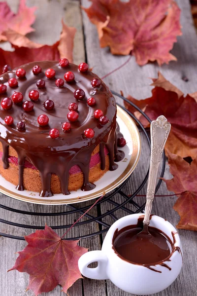 Homemade biscuit cake with cranberry mousse and chocolate icing on a wooden background — Stock Photo, Image