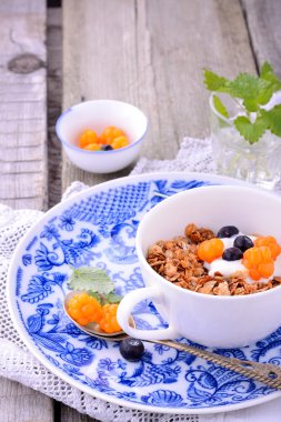 Bir kase müsli ve taze meyveli yoğurt.