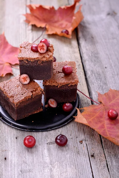 Brownie slices with cranberries, food closeup — Stock Photo, Image