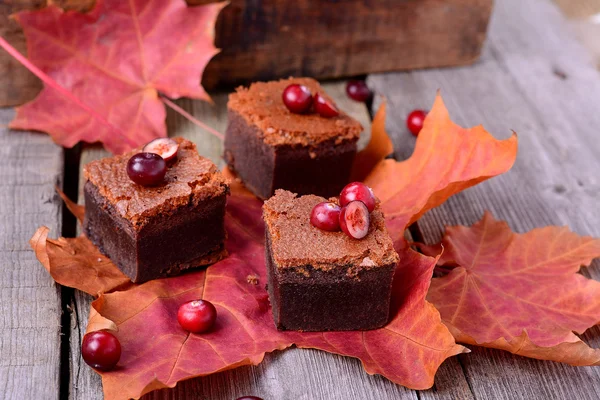 Tranches de brownie aux canneberges, gros plan sur la nourriture — Photo