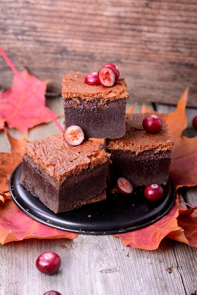 Brownie slices with cranberries, food closeup — Stock Photo, Image