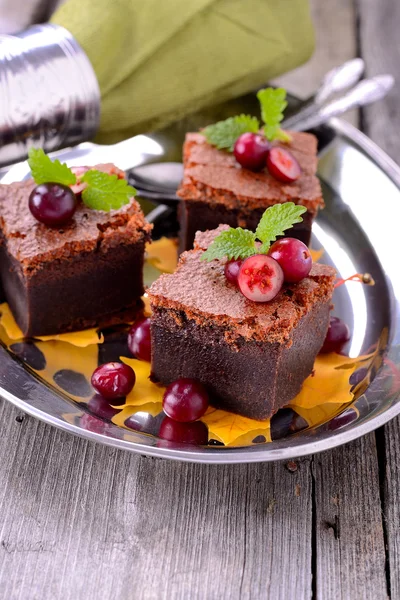 Brownie slices with cranberries, food closeup — Stock Photo, Image