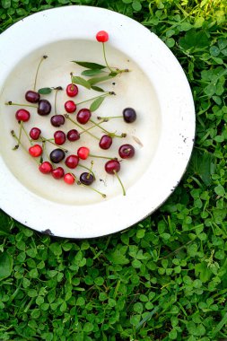 tatlı kiraz bir çim üzerinde sarı bir kase