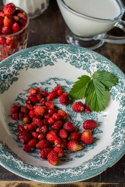 Schotel met wilde aardbeien en bladeren op de stomp — Stockfoto