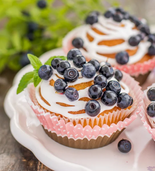 Delicious homemade blueberry muffins — Stock Photo, Image