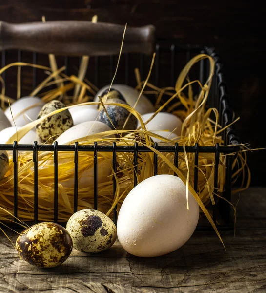 Coș de ouă proaspăt depuse întinse pe paie în hambar — Fotografie, imagine de stoc