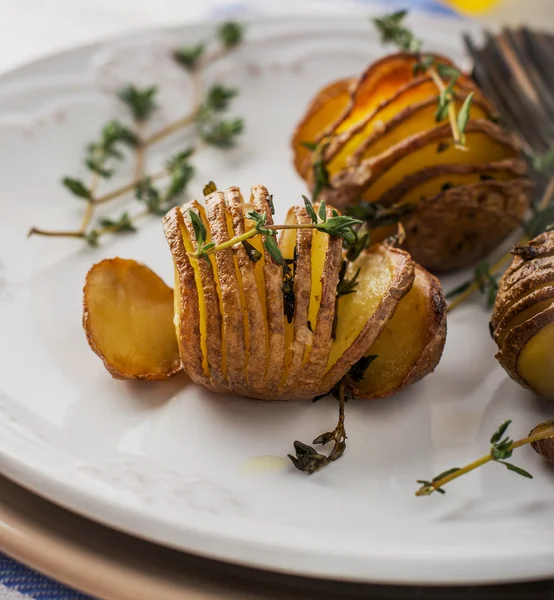 Accordion baked potatoes — Stock Photo, Image