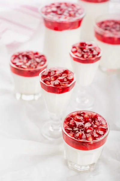 Pannacotta met granaatappel-gelei — Stockfoto