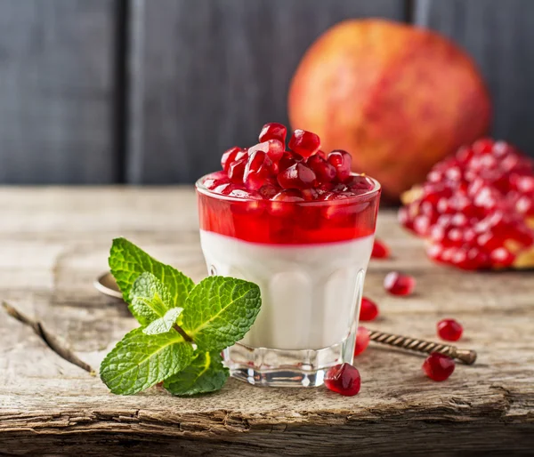 Pannacotta s granátové jablko želé — Stock fotografie