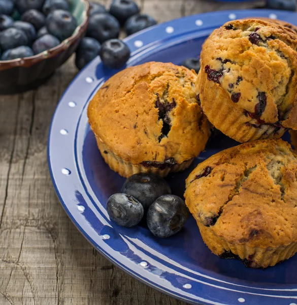 Domácí muffiny s borůvkami na dřevěné pozadí — Stock fotografie