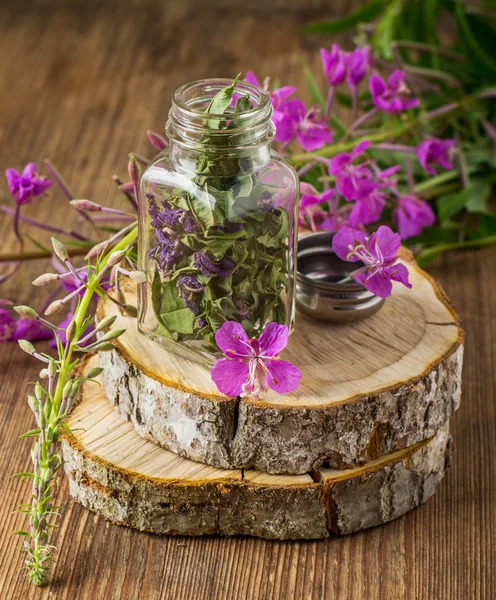 Blooming Sally in a transparent cup and fresh flowers — Stock fotografie