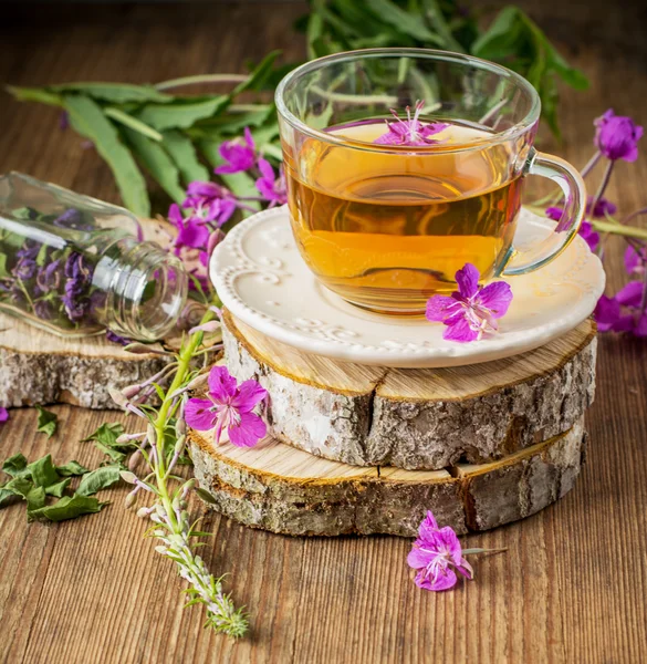 Blühende Sally in einer transparenten Tasse und frischen Blumen — Stockfoto