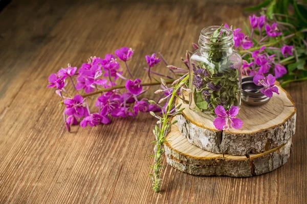 Blooming Sally in a transparent cup and fresh flowers — Stock Fotó