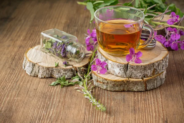 Blühende Sally in einer transparenten Tasse und frischen Blumen — Stockfoto