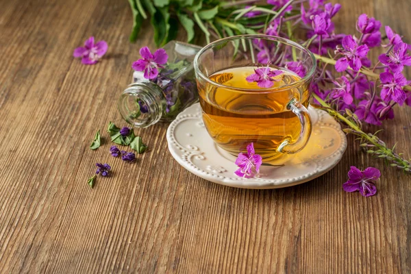 Blühende Sally in einer transparenten Tasse und frischen Blumen — Stockfoto