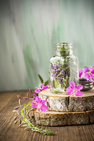 Blooming Sally, collected and dried brewing herbal tea useful scattered — Stock Photo, Image
