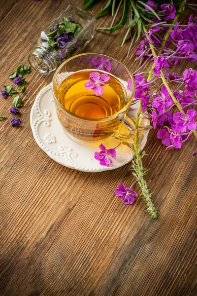 blooming Sally, collected and dried brewing herbal tea useful scattered 