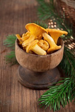 Bright fragrant chanterelles in a wooden bowl handmade