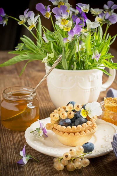 Light fresh crunchy pastry tartlet of blueberries — 스톡 사진