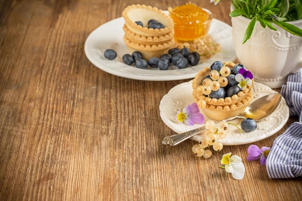 Light fresh crunchy pastry tartlet of blueberries — 스톡 사진