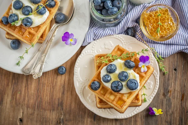 Homemade fresh crispy waffles for breakfast with blueberries and honey — ストック写真