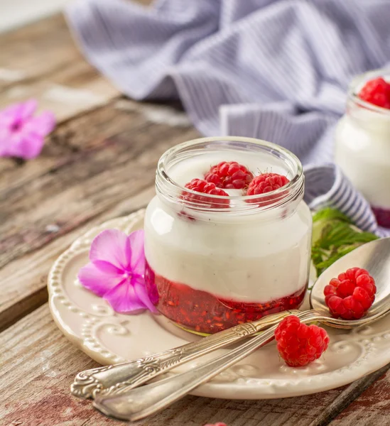 Yaourt naturel aux framboises fraîches et confiture de framboises pour le petit déjeuner dans des bocaux — Photo