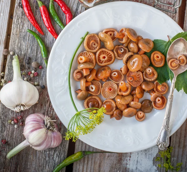 Champiñones gorra de leche azafrán —  Fotos de Stock