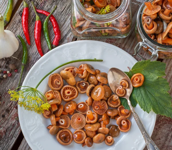 Saffron milk cap mushrooms — Stock Photo, Image