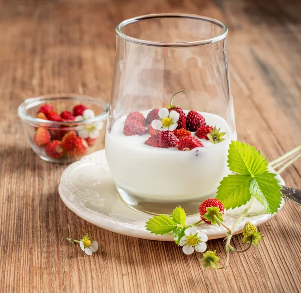 Gezond ontbijt kopje verse melk yoghurt met wilde aardbeien — Stockfoto