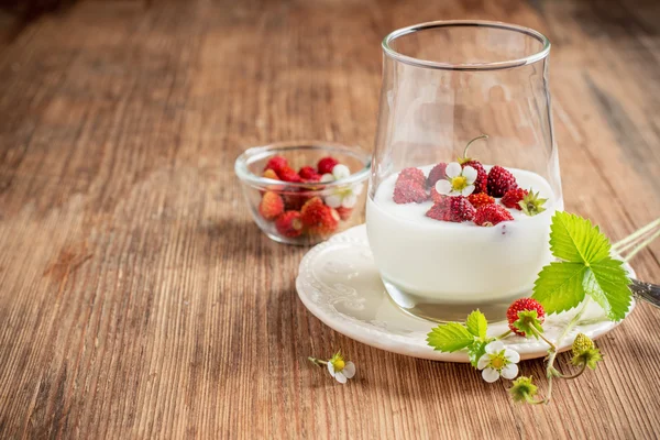 Healthy breakfast cup of fresh milk yoghurt with wild strawberries — Stock Photo, Image