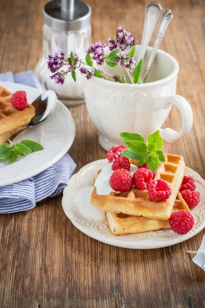 Хрусткі вафлі з вершками та свіжою малиною на сніданок — стокове фото