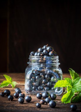 Siyah frenk üzümü yaprakları ile cam kavanoza meyveler