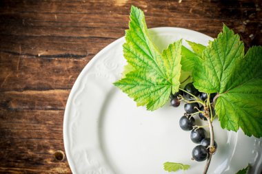 Siyah frenk üzümü fışkın ile beyaz seramik tabak 