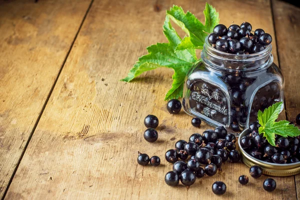 Berries of a black currant in  glass jar with leaves — Stock Photo, Image