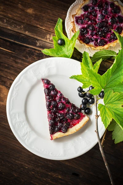 Pedazo de pastel casero fresco con grosellas negras en plato de cerámica blanca — Foto de Stock