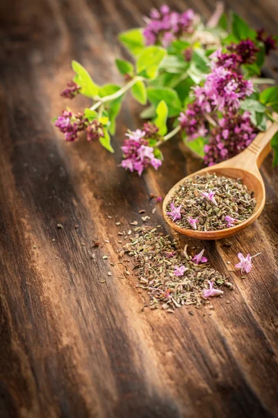 Dried oregano in a wooden spoon and twigs of fresh green  with flowers — Stock Photo, Image