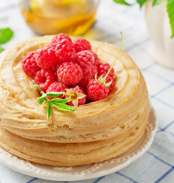 Ring cake with curd cream decorated fresh ripe raspberries — Stock Photo, Image