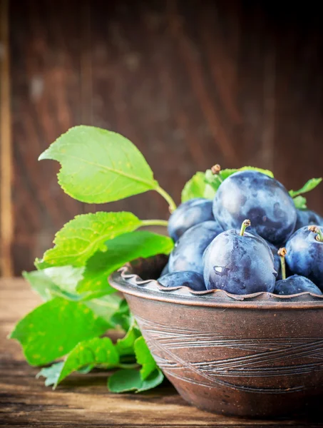 Verse rijpe pruimen in handgemaakt aardewerk — Stockfoto