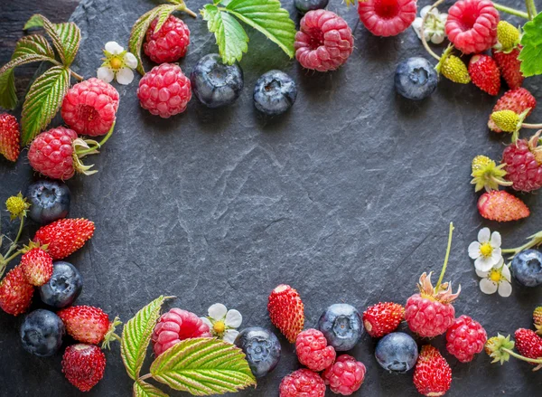 Frame  of fresh  wild berries with green  leaves, copy space — Stock Photo, Image