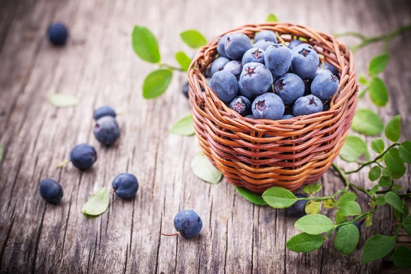 Fresh blueberries in a little basket — Stock Photo, Image