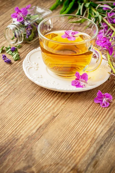 Blooming Sally, collected and dried brewing herbal tea — Stock Photo, Image