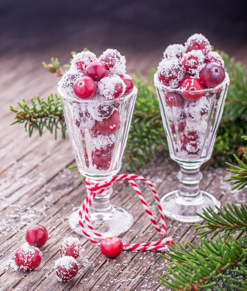 Useful natural sweets of ripe cranberries and sweet coconut — Stock Photo, Image