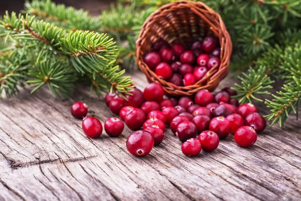 Korb mit reifen frischen Wald-Preiselbeeren auf der Textur hölzernen Hintergrund — Stockfoto