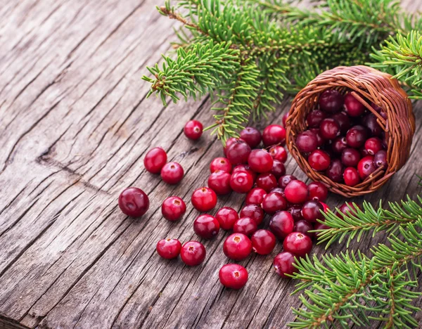 Basket with ripe fresh forest cranberries on the texture wooden background — Stock Photo, Image