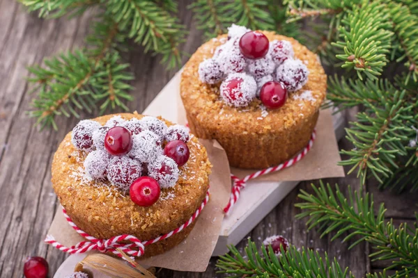 Fresh homemade cranberry muffins holiday in coconut flakes on a wooden background — Stock Photo, Image