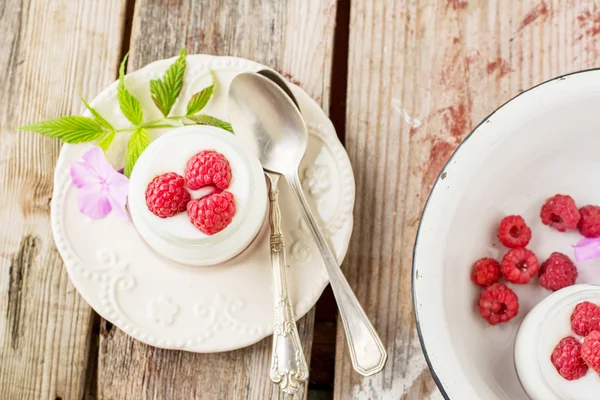 Naturell yoghurt med färska hallon — Stockfoto