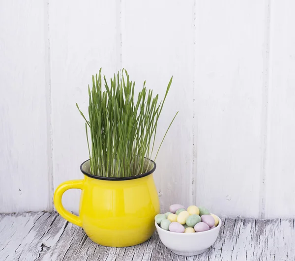 Coppa con germogli d'erba per Pasqua — Foto Stock