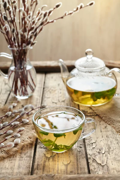 Fresh melissa tea in glass cup, teapot and willow twigs — Stok fotoğraf